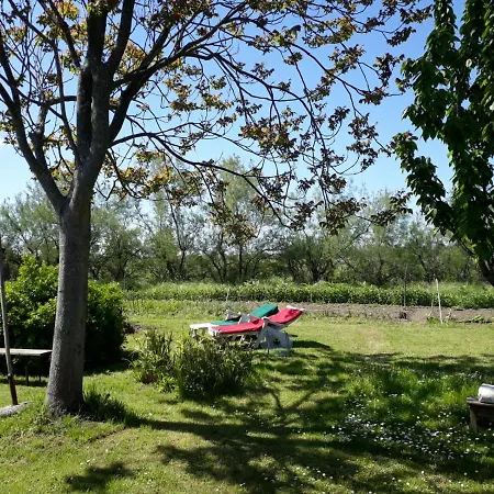 Laguna Di Isola Di S.erasmo 홈스테이 베니스